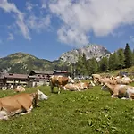 Hotel Plattner's Alpenhotel