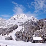 Plattner's Alpenhotel Hotel 4*
