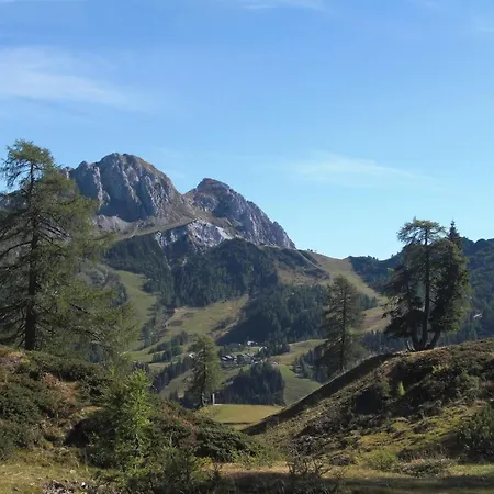 Hotel Plattner's Alpenhotel