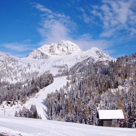 Alpenhotel Plattner Hotel 4*