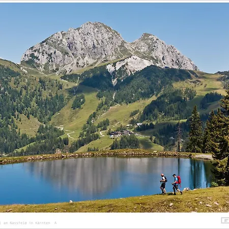 Plattner's Alpenhotel فندق سونينالب ناسفيلد