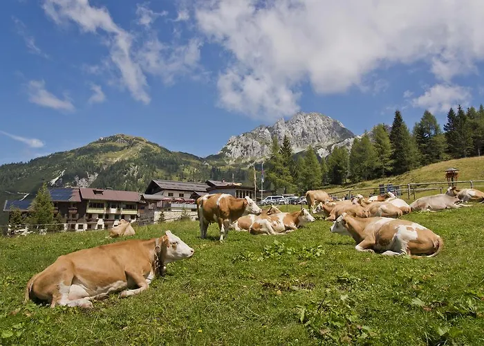 Hotel Plattner'S Alpenhotel