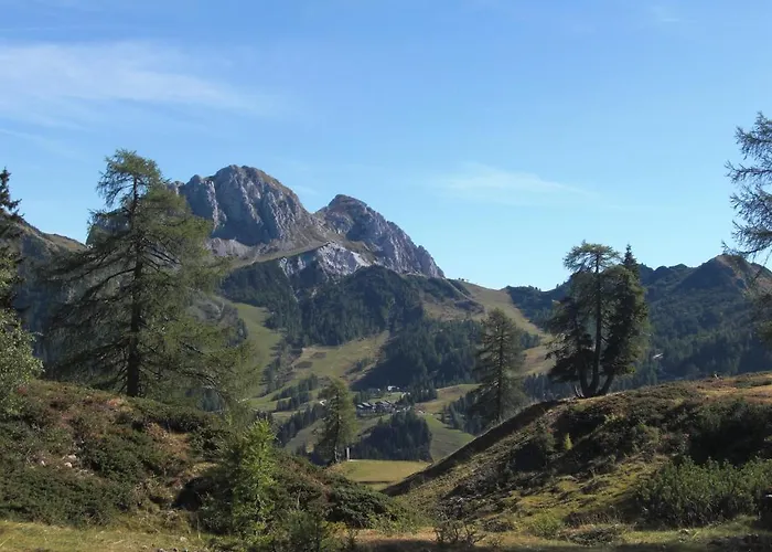 호텔 Plattner's Alpenhotel