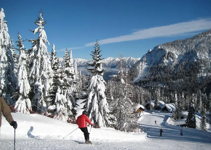 Plattner's Alpenhotel 호텔