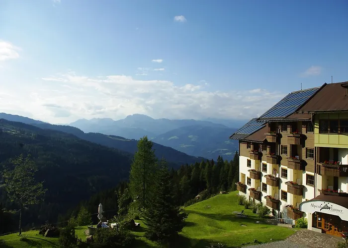 Plattner's Alpenhotel 호텔